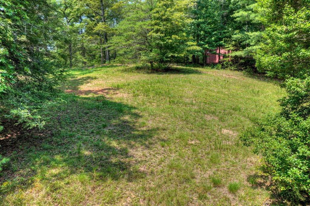 963 Black Ankle Lane Property Photo 15