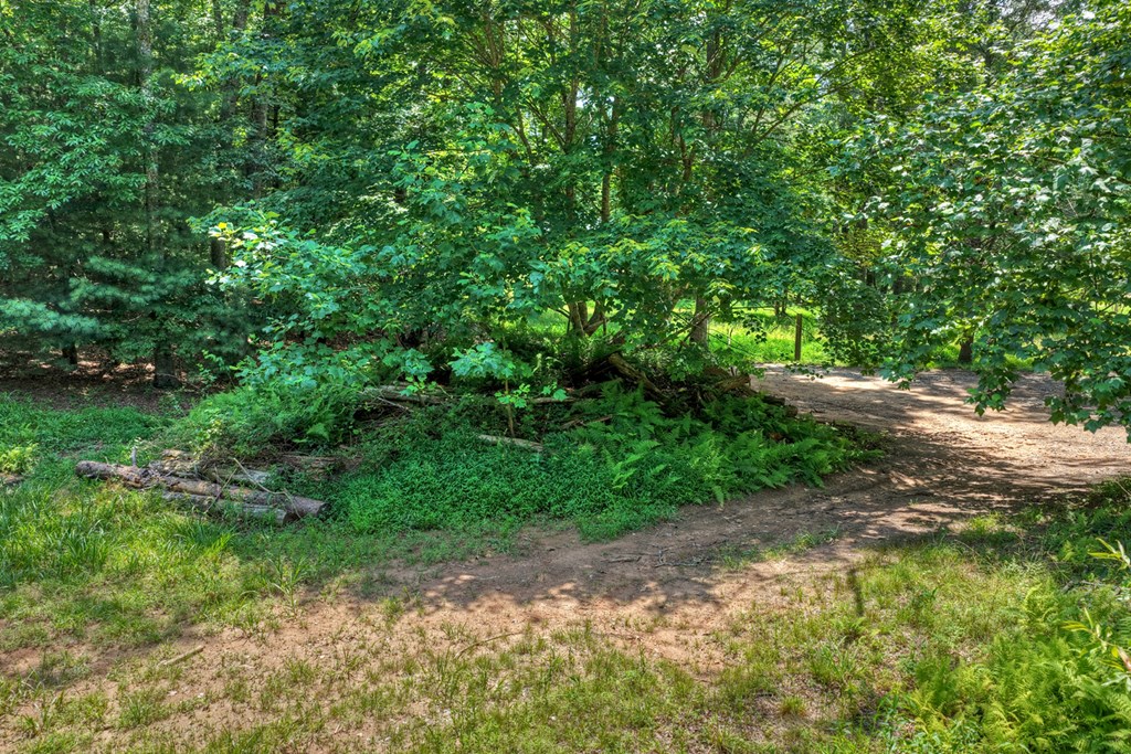 963 Black Ankle Lane Property Photo 16