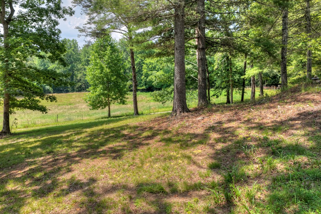 963 Black Ankle Lane Property Photo 17