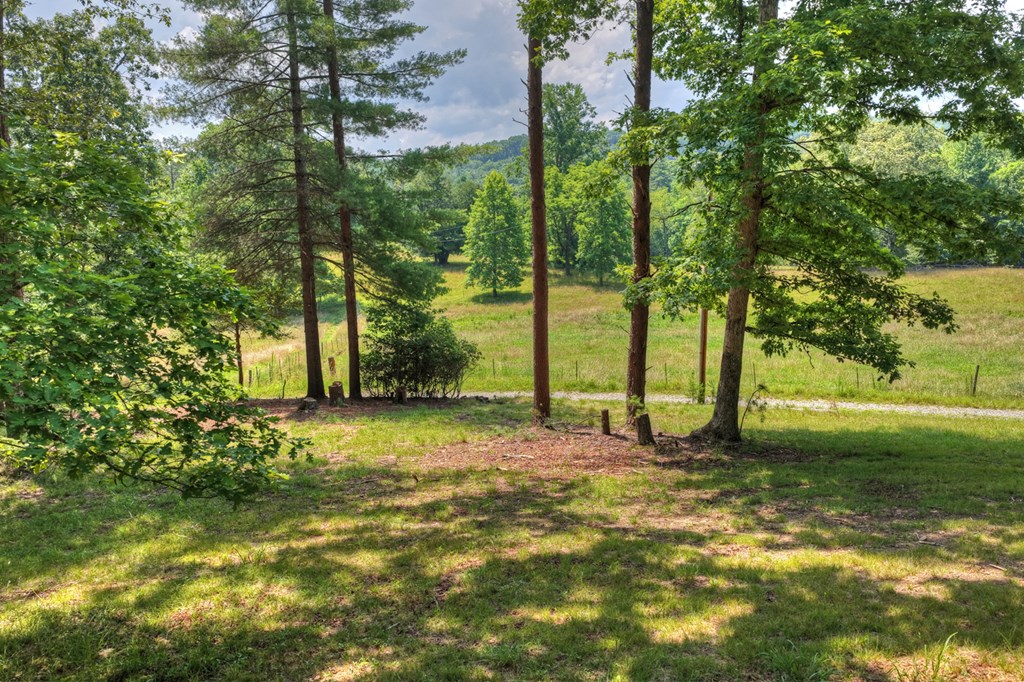 963 Black Ankle Lane Property Photo 18
