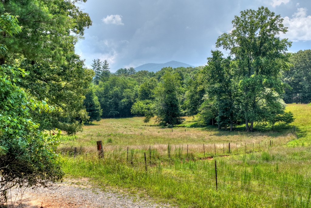 963 Black Ankle Lane Property Photo 19