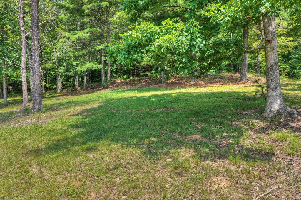 963 Black Ankle Lane Property Photo 20