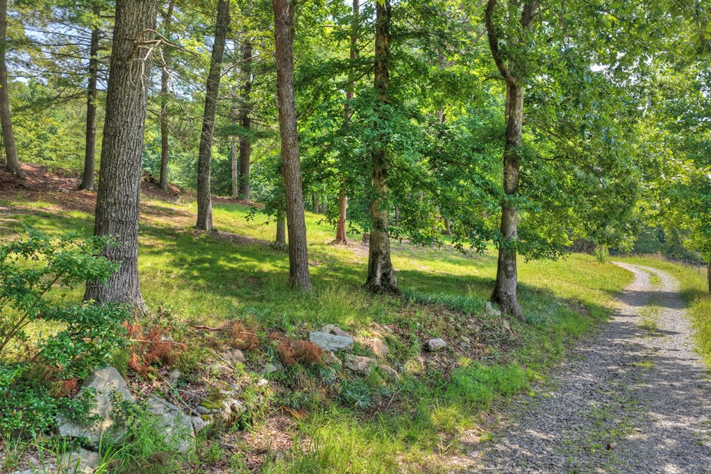 963 Black Ankle Lane Property Photo 29