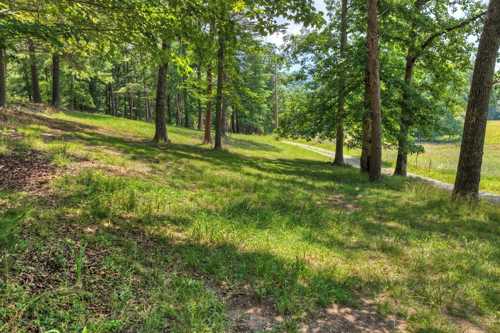 963 Black Ankle Lane Property Photo 30