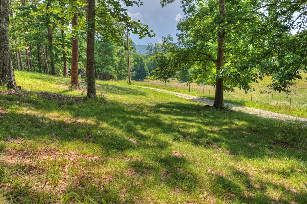963 Black Ankle Lane Property Photo 31