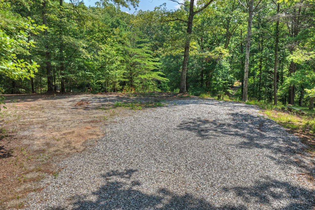 963 Black Ankle Lane Property Photo 33