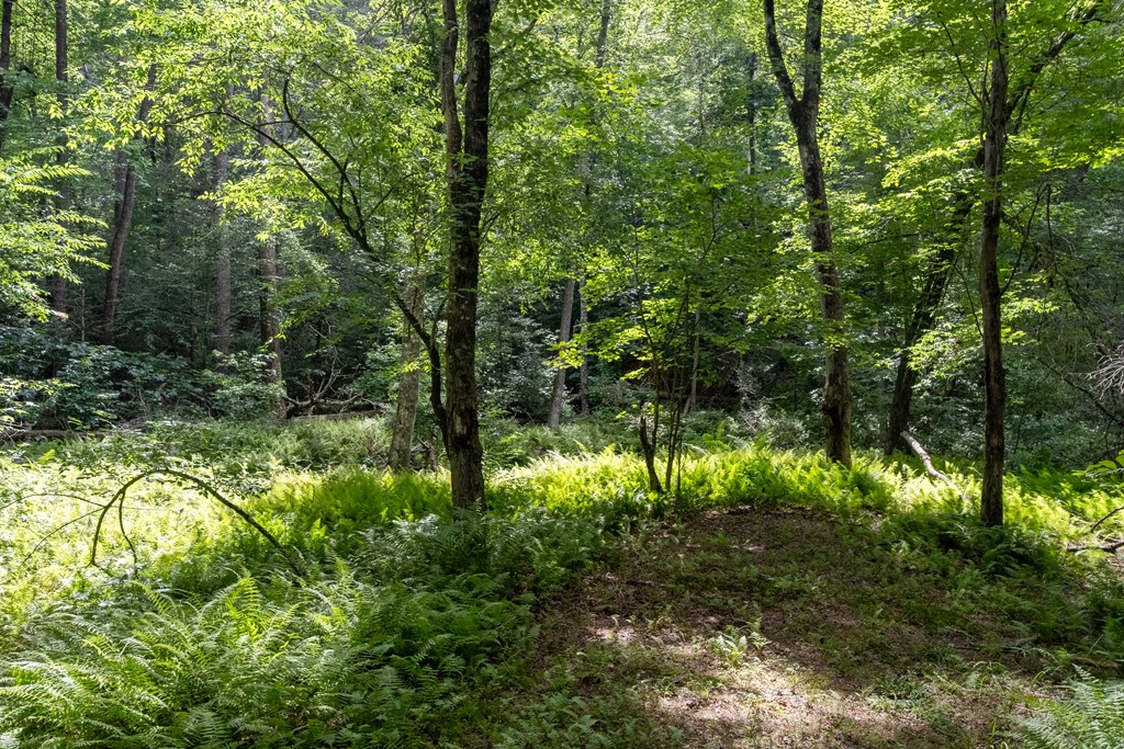 215 Dunn Mill Creek Road Property Photo 64