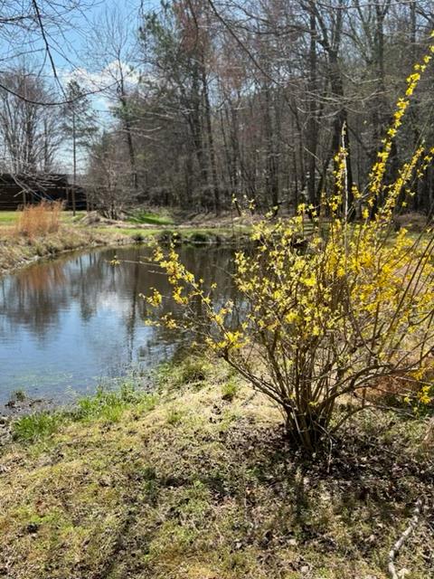 215 Dunn Mill Creek Road Property Photo 74