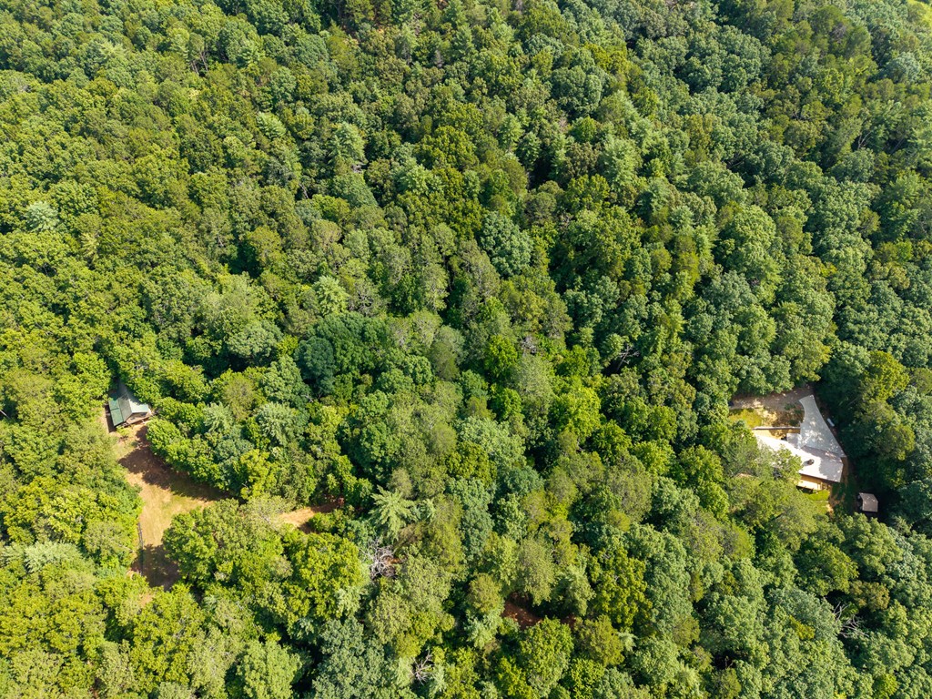 673 Harold Pritchett Road Property Photo 43