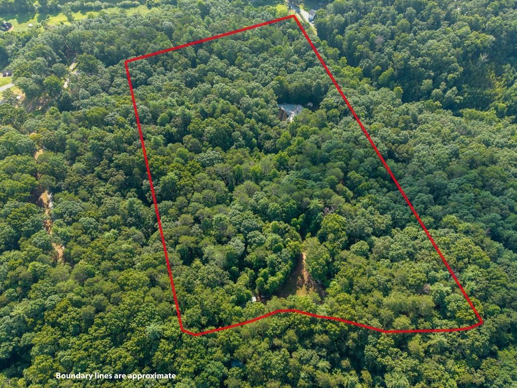 673 Harold Pritchett Road Property Photo 45