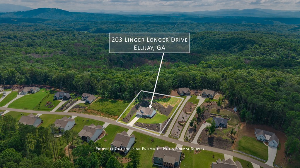 203 Linger Longer Drive Property Photo 6