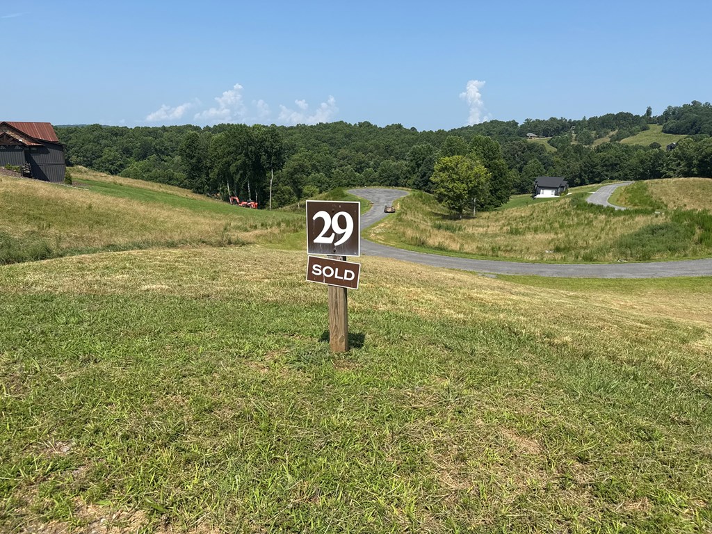 Lot 29 Big Valley Overlook Property Photo 6