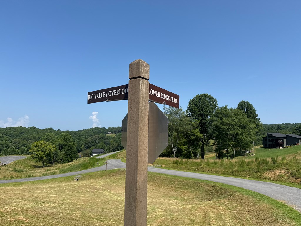 Lot 29 Big Valley Overlook Property Photo 8
