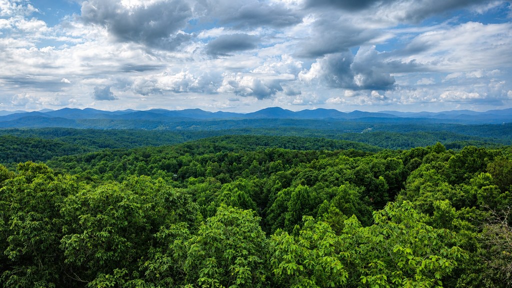 629 My Mountain Road Property Photo 34