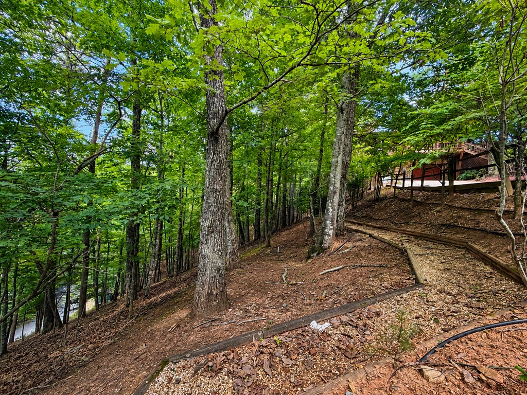 629 My Mountain Road Property Photo 37