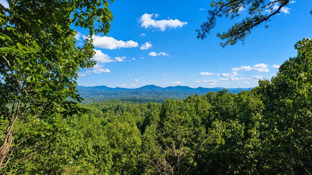 629 My Mountain Road Property Photo 41