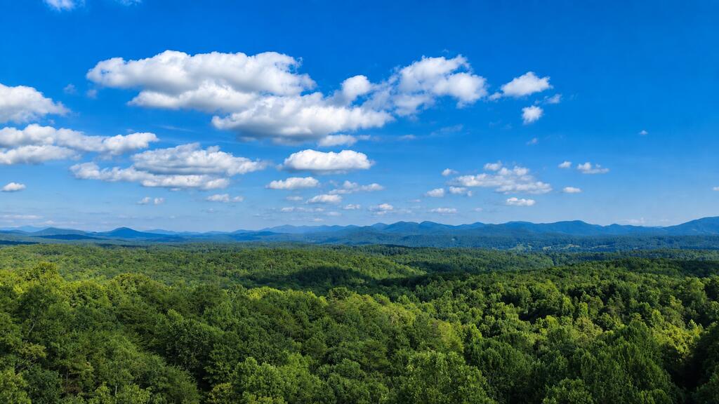629 My Mountain Road Property Photo 42