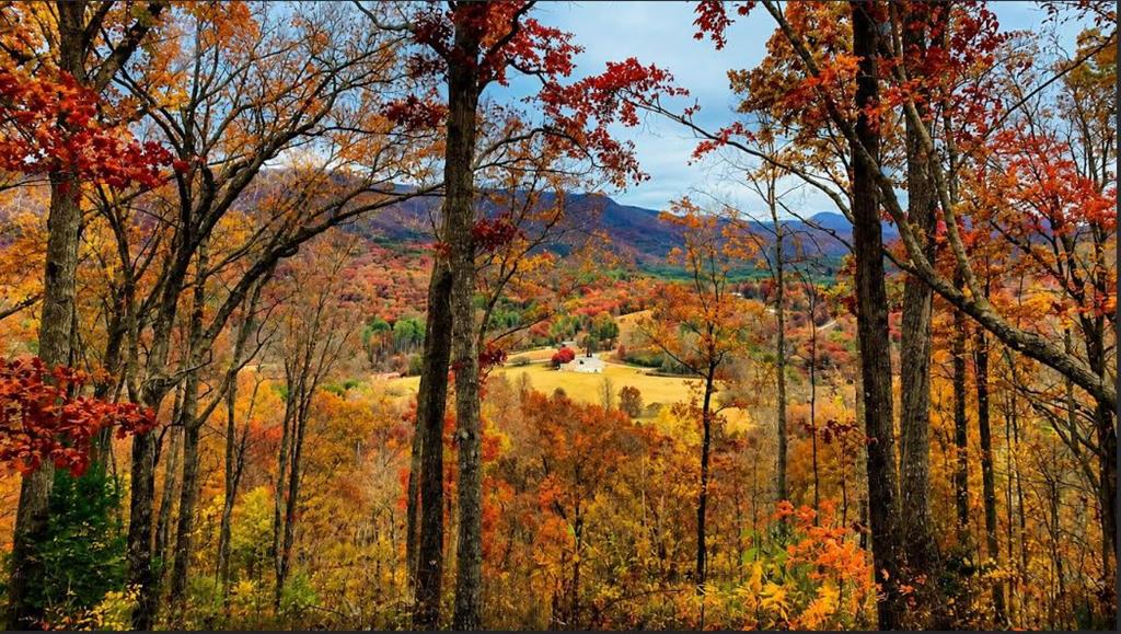 20 Fly Cast Overlook Property Photo 1