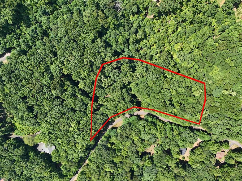 Lot 71 Chicory Drive W Property Photo 1