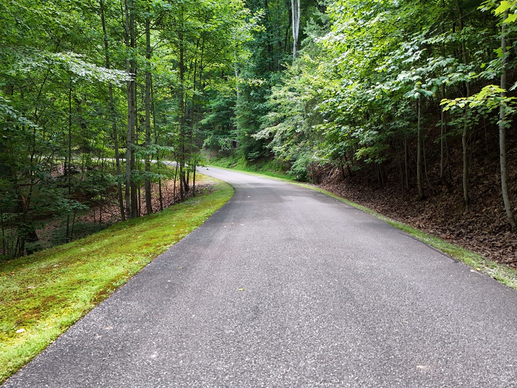 Lot 71 Chicory Drive W Property Photo 5