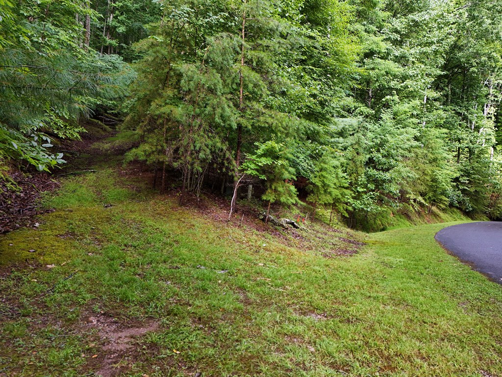 Lot 71 Chicory Drive W Property Photo 6