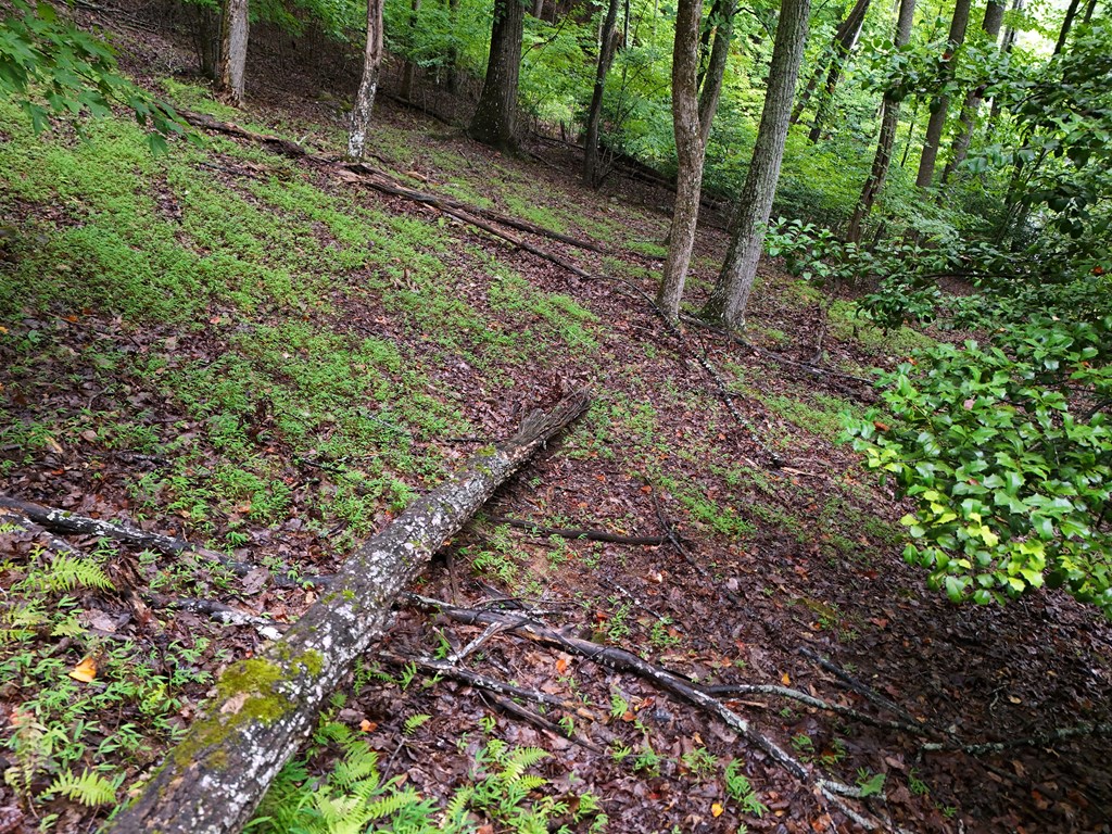 Lot 71 Chicory Drive W Property Photo 8