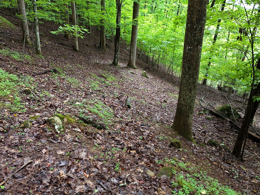 Lot 71 Chicory Drive W Property Photo 9