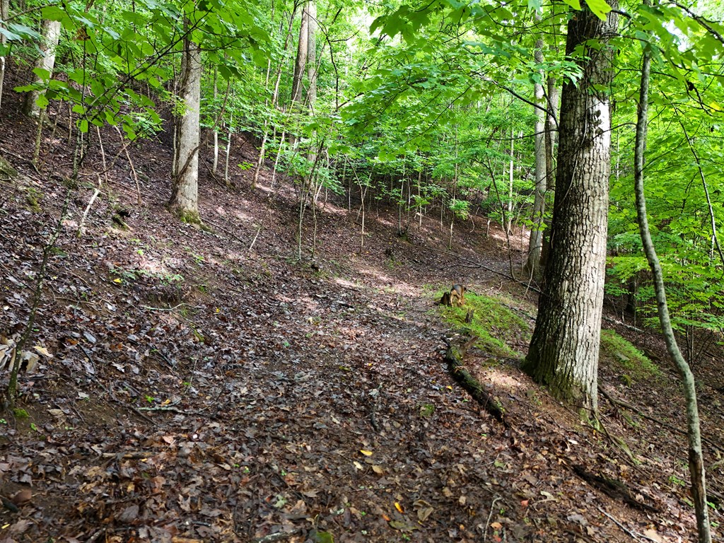 Lot 71 Chicory Drive W Property Photo 12