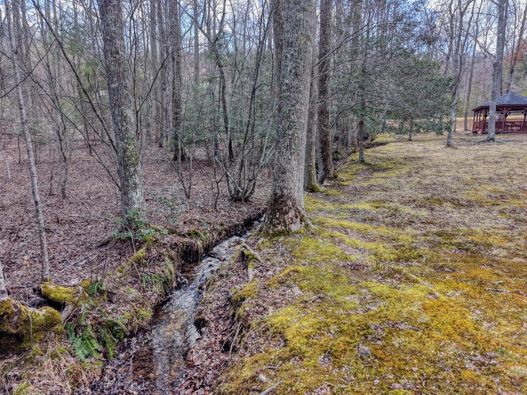 Lot 71 Chicory Drive W Property Photo 41