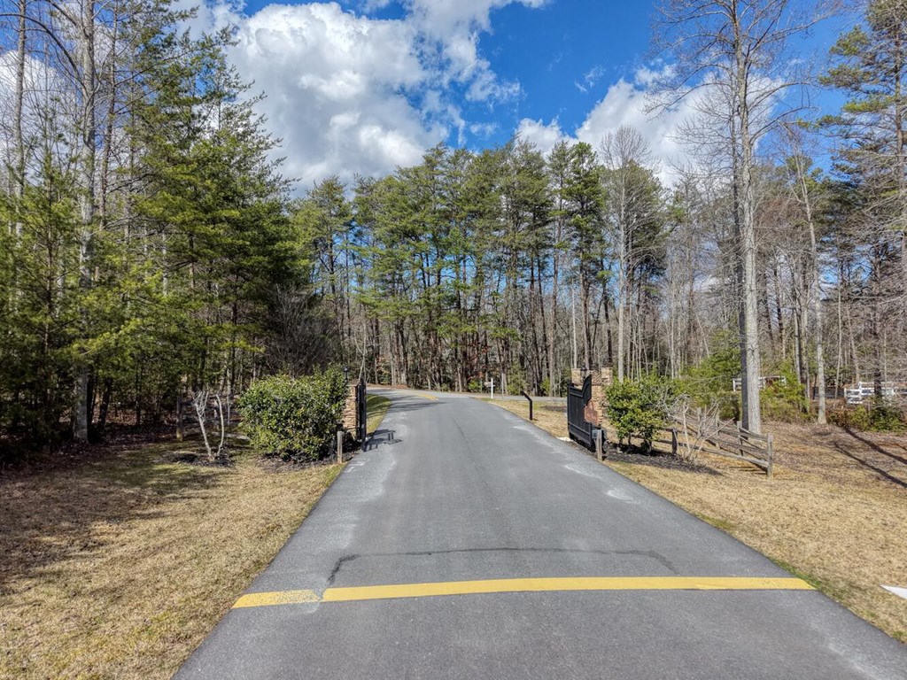 Lot 71 Chicory Drive W Property Photo 42