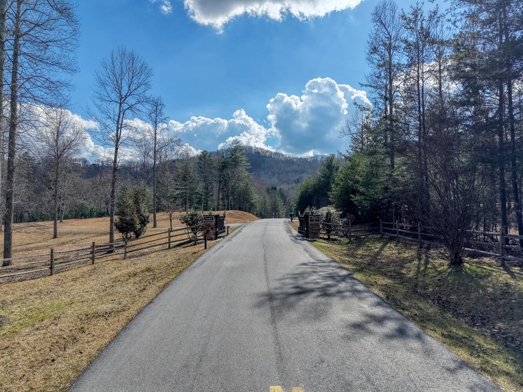 Lot 71 Chicory Drive W Property Photo 44