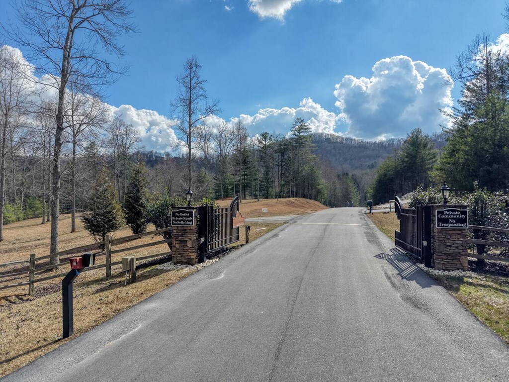 Lot 71 Chicory Drive W Property Photo 46