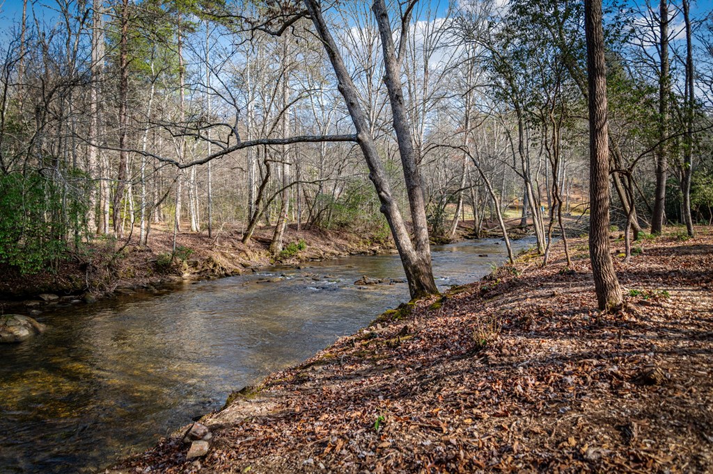5.15 Ac Spence Road Property Photo 8