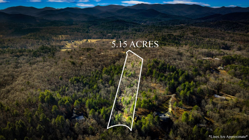 5.15 Ac Spence Road Property Photo 13