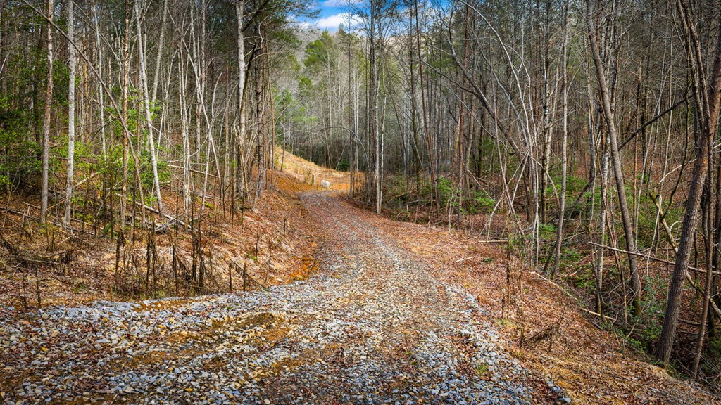 5.15 Ac Spence Road Property Photo 14