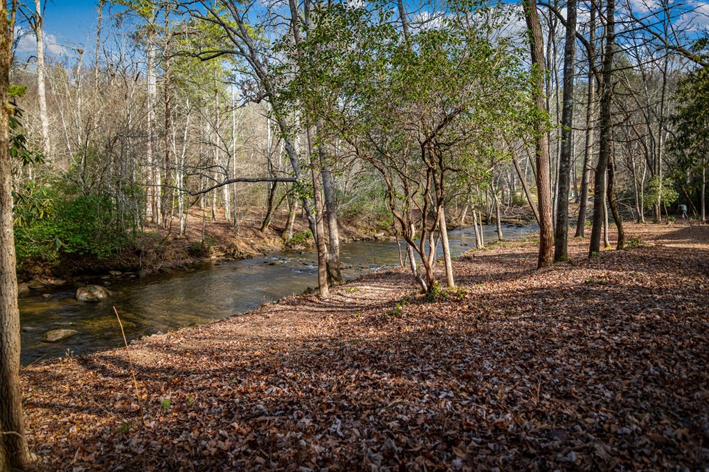 5.15 Ac Spence Road Property Photo 17