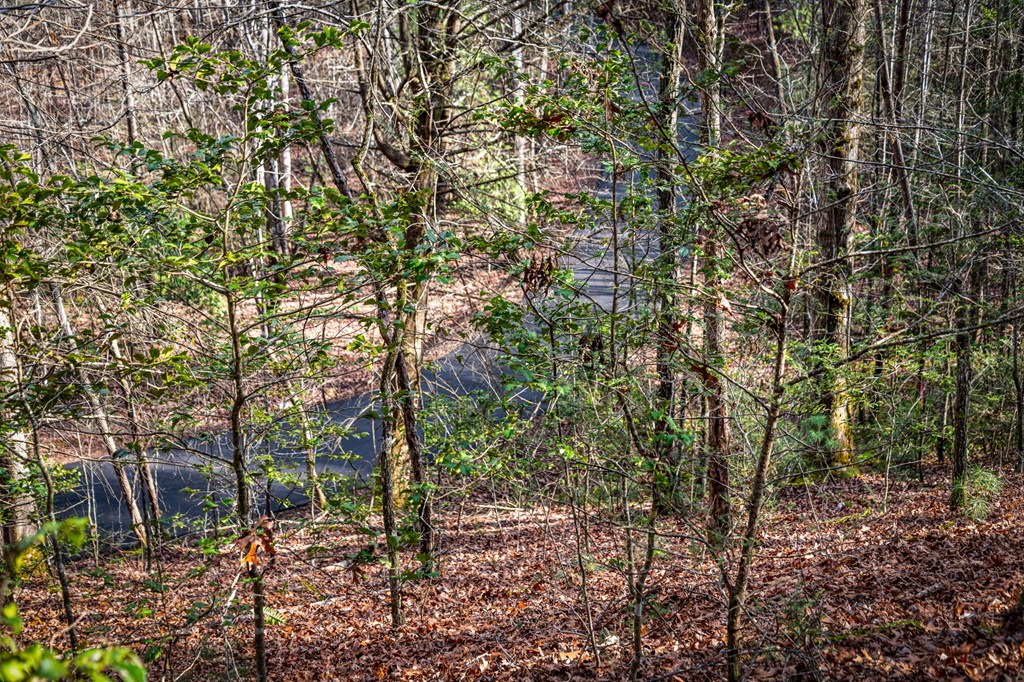 5.15 Ac Spence Road Property Photo 19