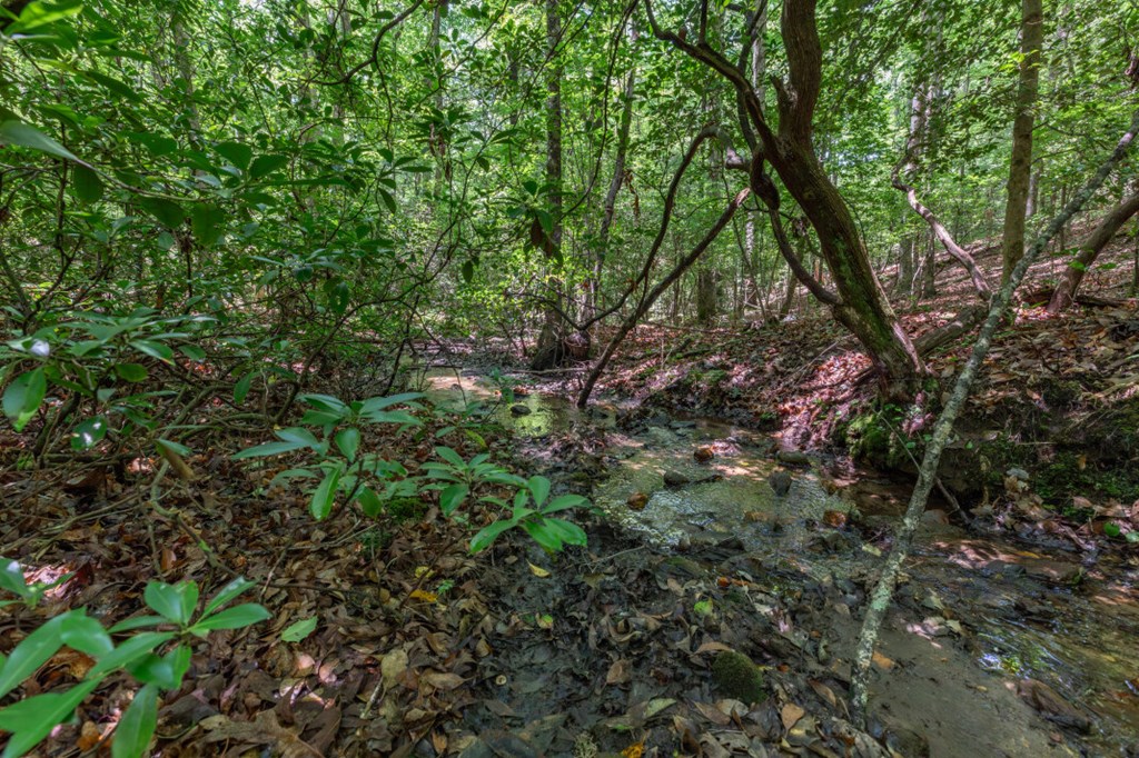5 Ac Solar Drive Property Photo 3