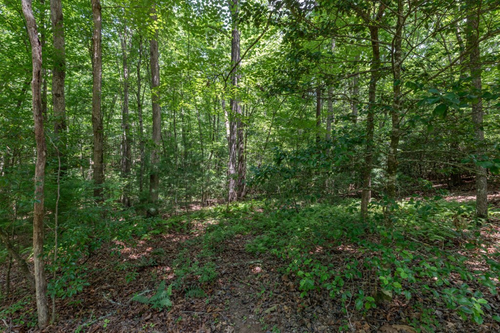 5 Ac Solar Drive Property Photo 4