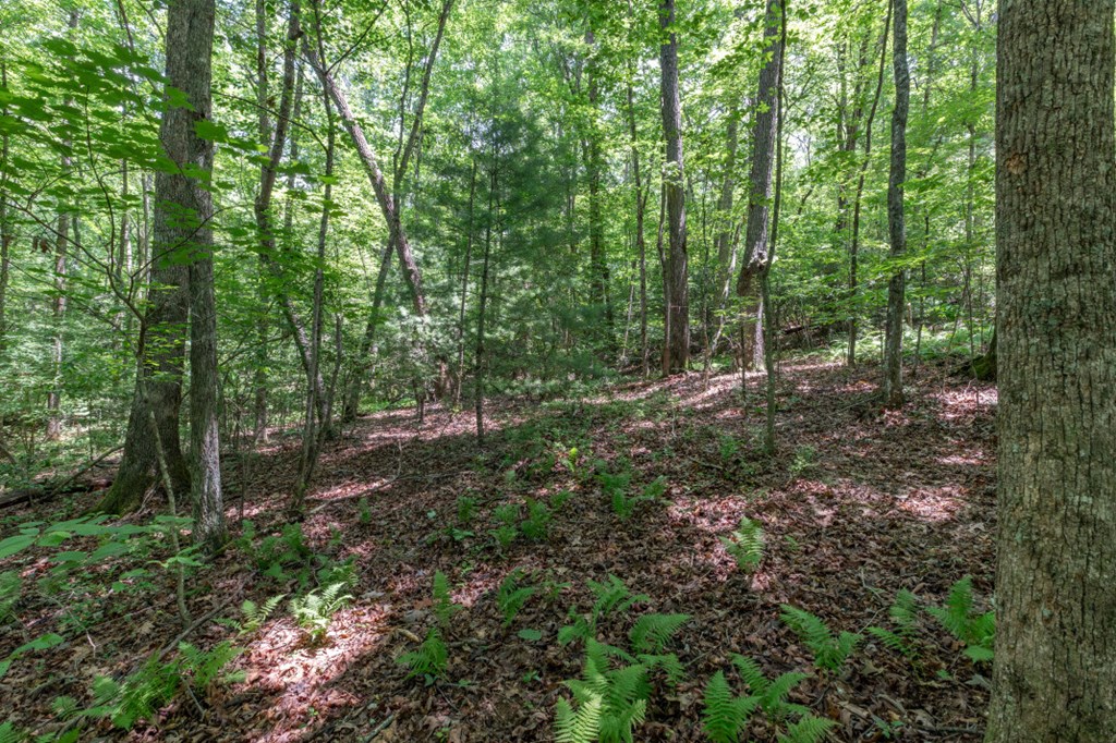 5 Ac Solar Drive Property Photo 7