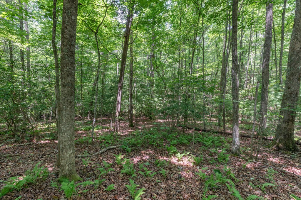 5 Ac Solar Drive Property Photo 8