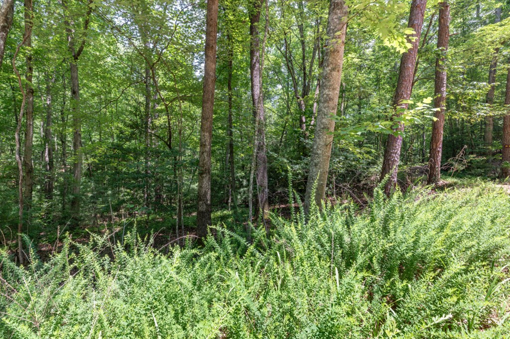 5 Ac Solar Drive Property Photo 9