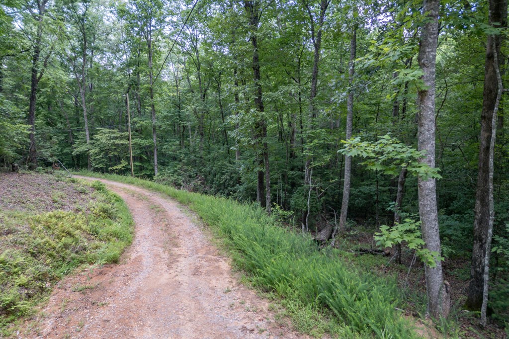5 Ac Solar Drive Property Photo 10
