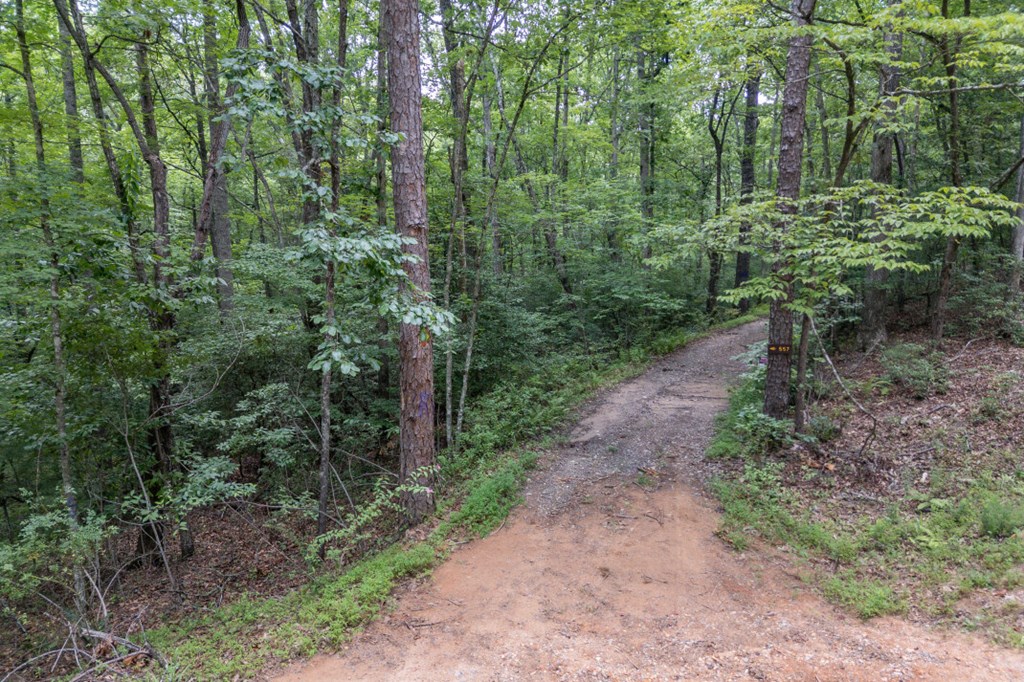 5 Ac Solar Drive Property Photo 11