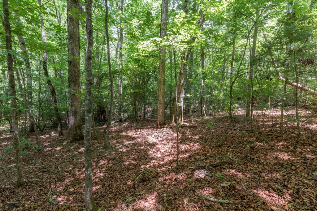 6 Ac Solar Drive Property Photo 3