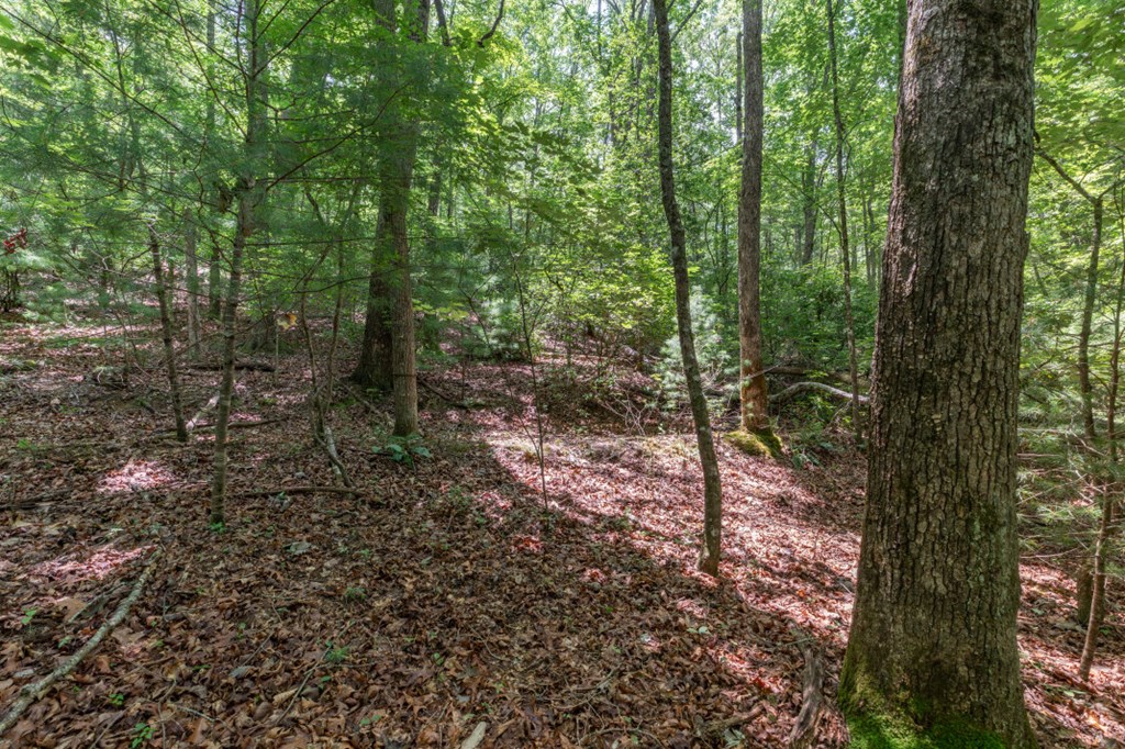 6 Ac Solar Drive Property Photo 4
