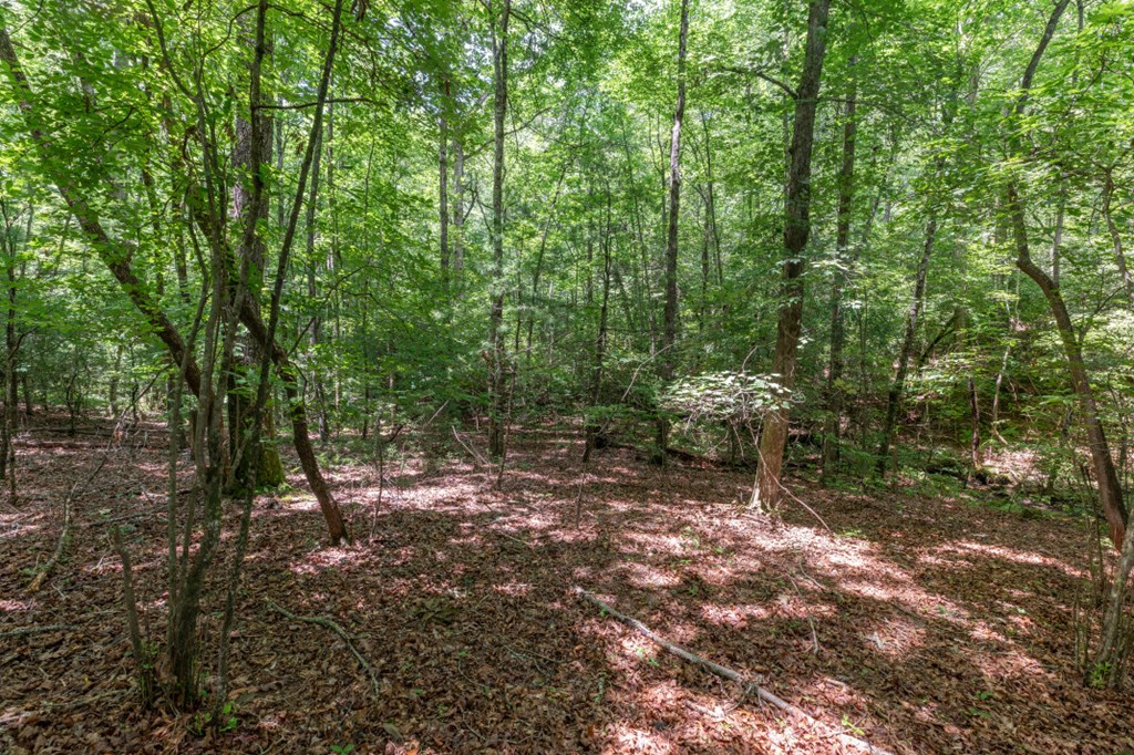 6 Ac Solar Drive Property Photo 5