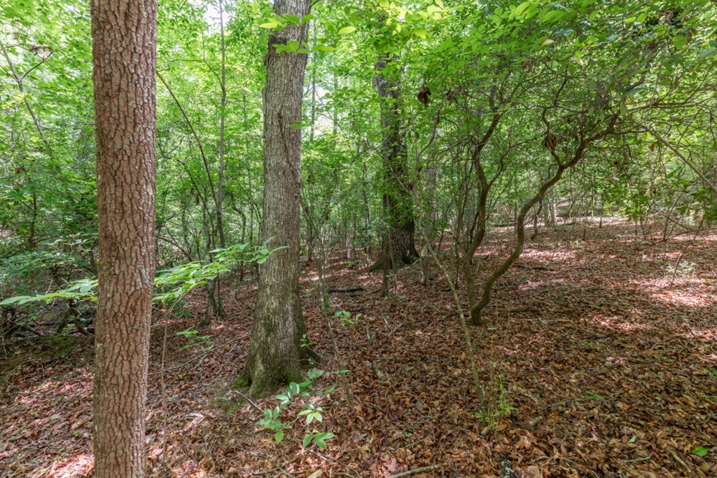 6 Ac Solar Drive Property Photo 6