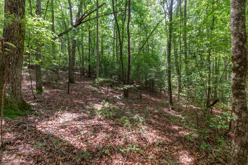 6 Ac Solar Drive Property Photo 7