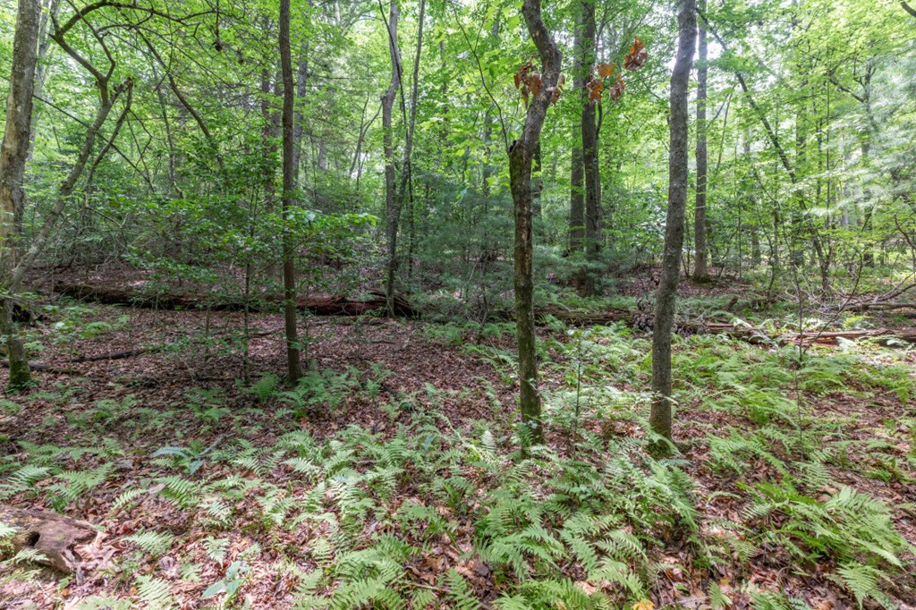 6 Ac Solar Drive Property Photo 9